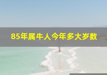 85年属牛人今年多大岁数