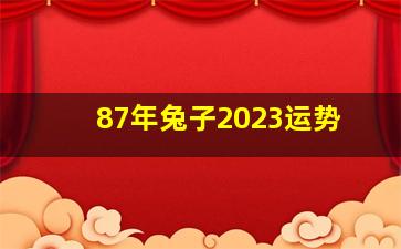 87年兔子2023运势