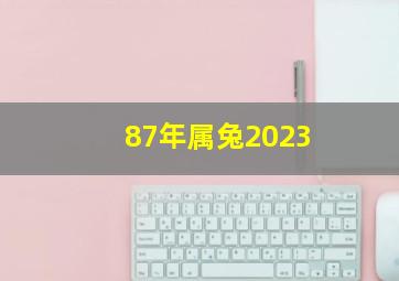 87年属兔2023