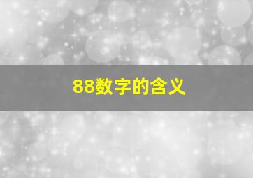 88数字的含义