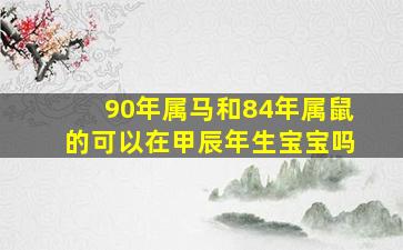 90年属马和84年属鼠的可以在甲辰年生宝宝吗