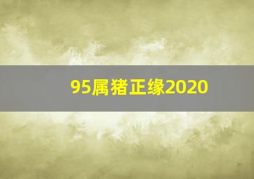 95属猪正缘2020