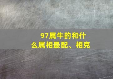 97属牛的和什么属相最配、相克