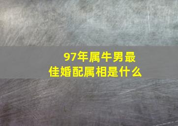 97年属牛男最佳婚配属相是什么