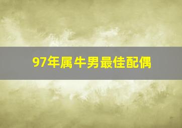 97年属牛男最佳配偶