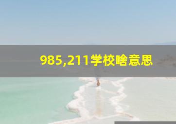 985,211学校啥意思