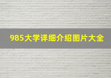 985大学详细介绍图片大全