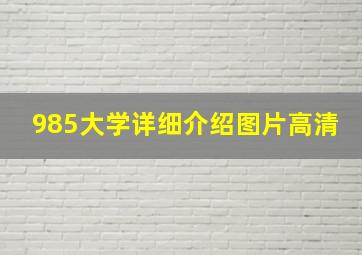 985大学详细介绍图片高清