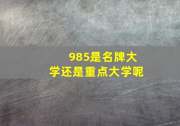 985是名牌大学还是重点大学呢