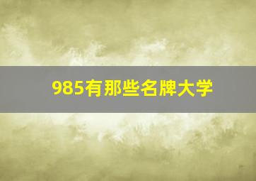 985有那些名牌大学