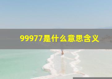 99977是什么意思含义