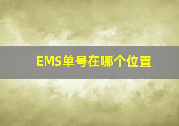 EMS单号在哪个位置