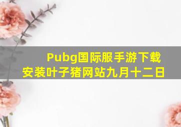 Pubg国际服手游下载安装叶子猪网站九月十二日