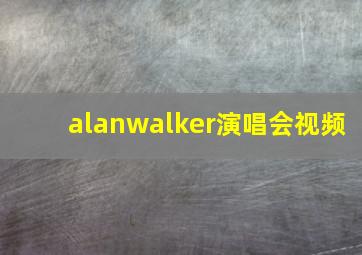 alanwalker演唱会视频