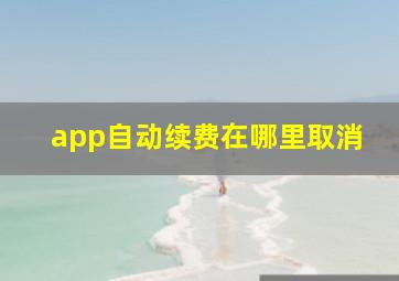 app自动续费在哪里取消