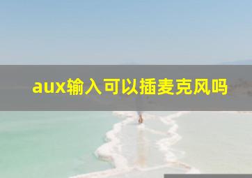 aux输入可以插麦克风吗