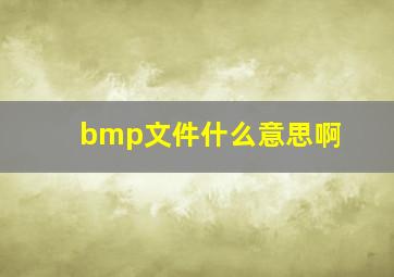 bmp文件什么意思啊