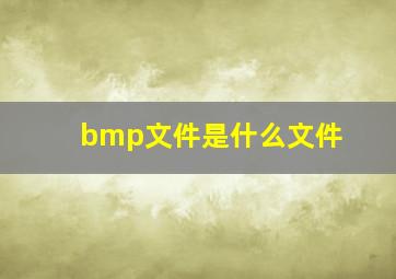 bmp文件是什么文件