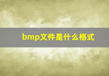 bmp文件是什么格式