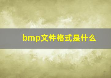 bmp文件格式是什么