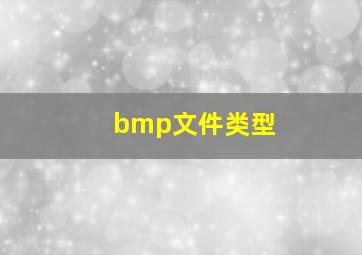 bmp文件类型