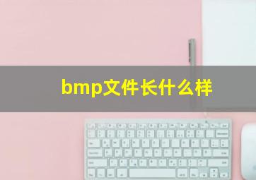 bmp文件长什么样