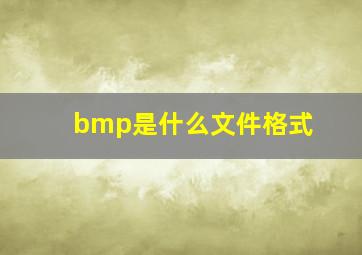 bmp是什么文件格式