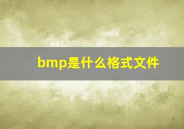 bmp是什么格式文件