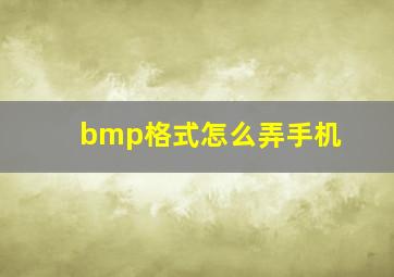 bmp格式怎么弄手机