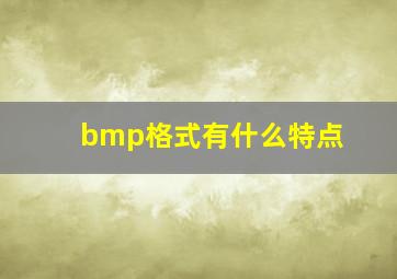 bmp格式有什么特点