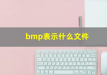 bmp表示什么文件