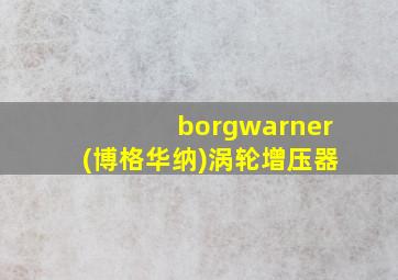 borgwarner(博格华纳)涡轮增压器