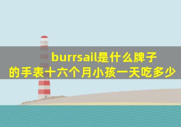 burrsail是什么牌子的手表十六个月小孩一天吃多少