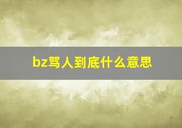 bz骂人到底什么意思