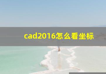 cad2016怎么看坐标