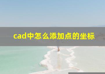 cad中怎么添加点的坐标