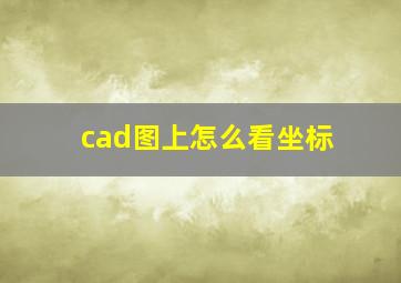 cad图上怎么看坐标