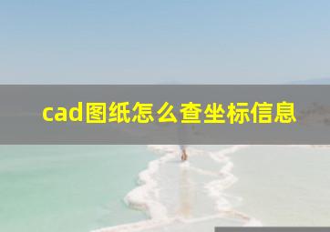 cad图纸怎么查坐标信息