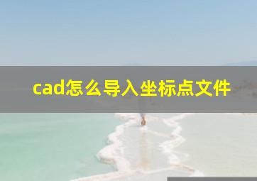 cad怎么导入坐标点文件