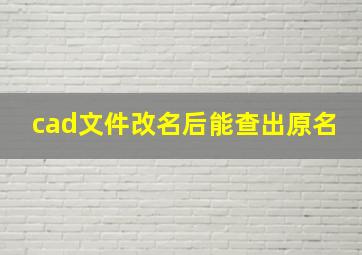 cad文件改名后能查出原名