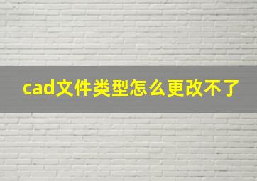 cad文件类型怎么更改不了