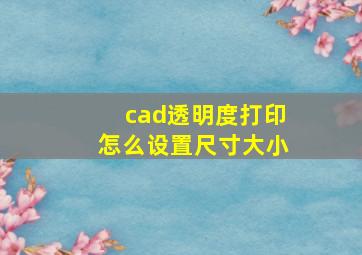 cad透明度打印怎么设置尺寸大小