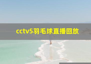 cctv5羽毛球直播回放