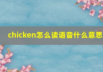 chicken怎么读语音什么意思