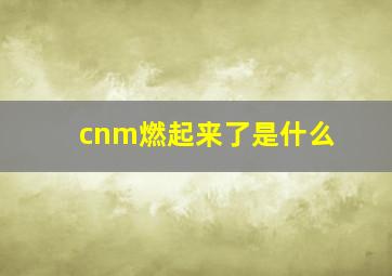 cnm燃起来了是什么