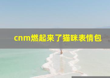 cnm燃起来了猫咪表情包