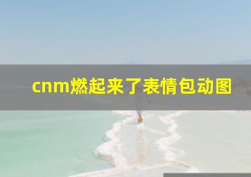 cnm燃起来了表情包动图