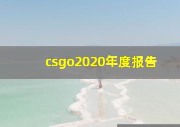 csgo2020年度报告