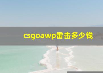 csgoawp雷击多少钱