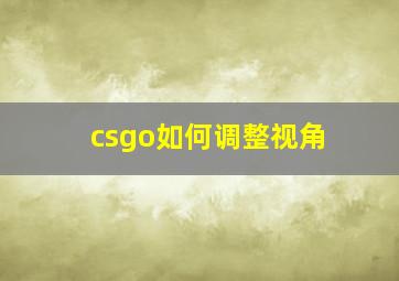 csgo如何调整视角